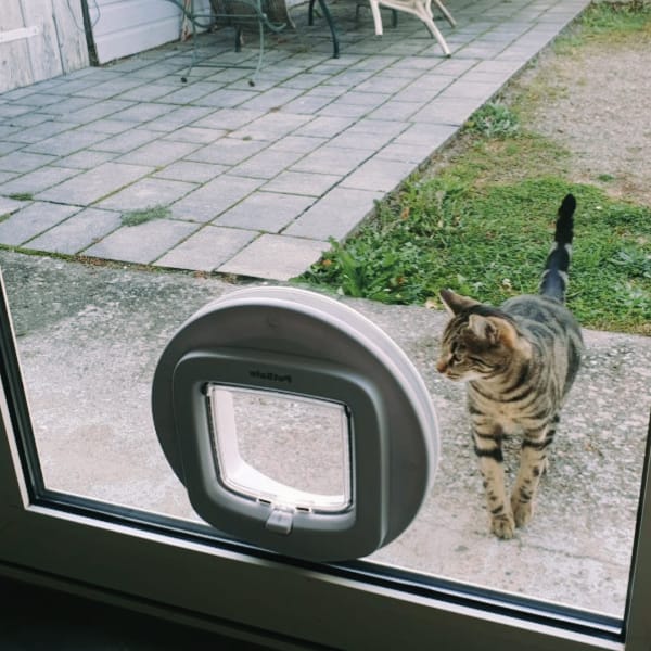 chatière fenêtre